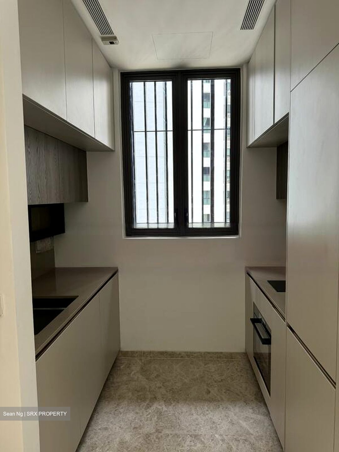 The Avenir (D9), Condominium #466456851